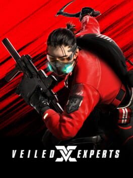 Veiled Experts (VX)